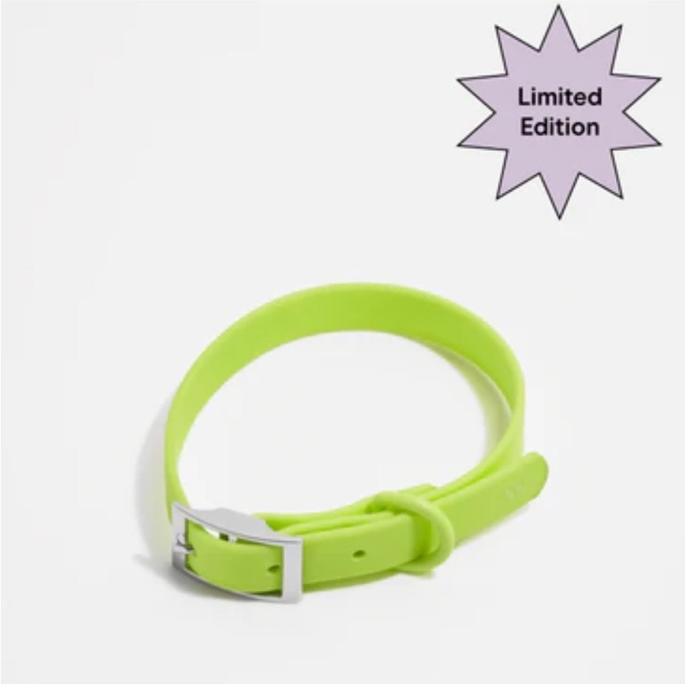 NWT Wild One Dog Collar